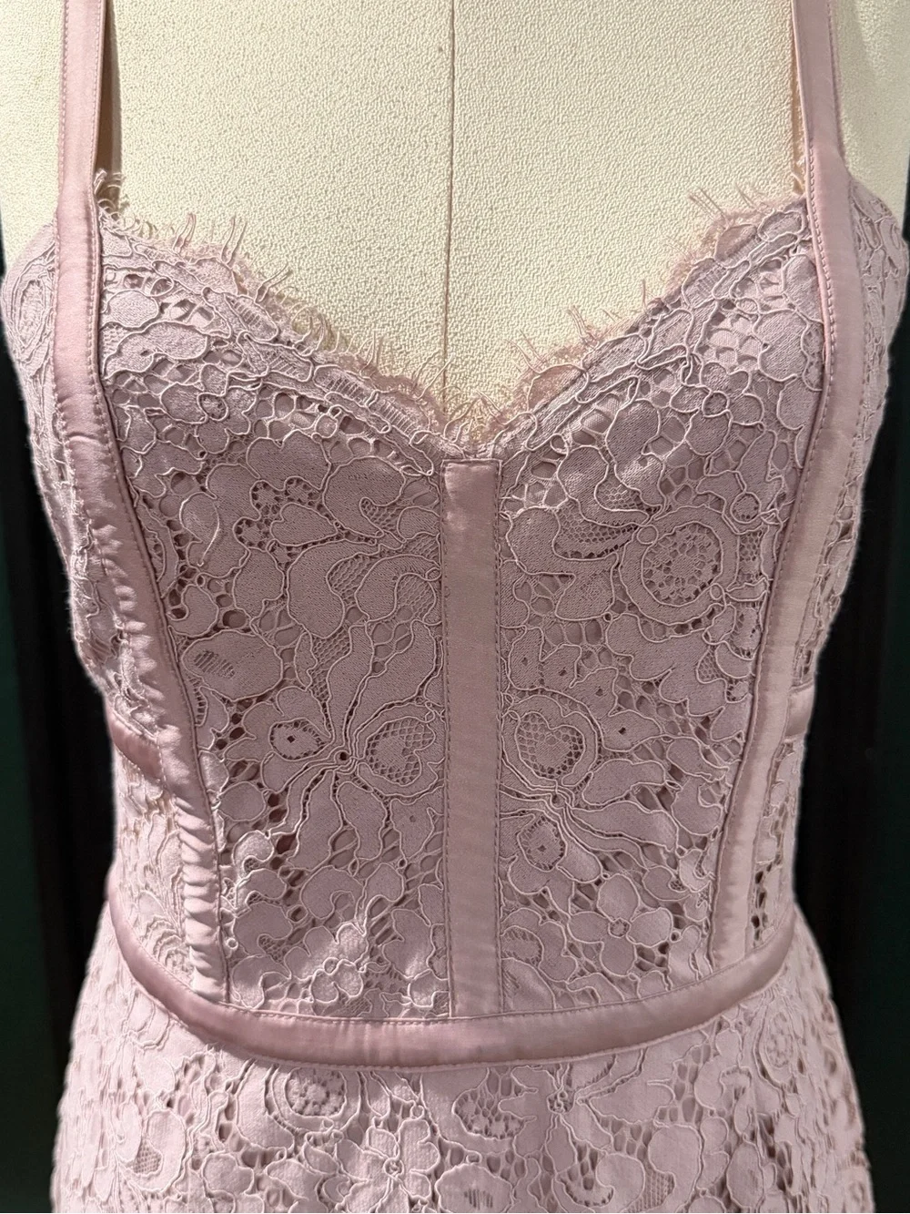 Express Pink Lace Midi Dress